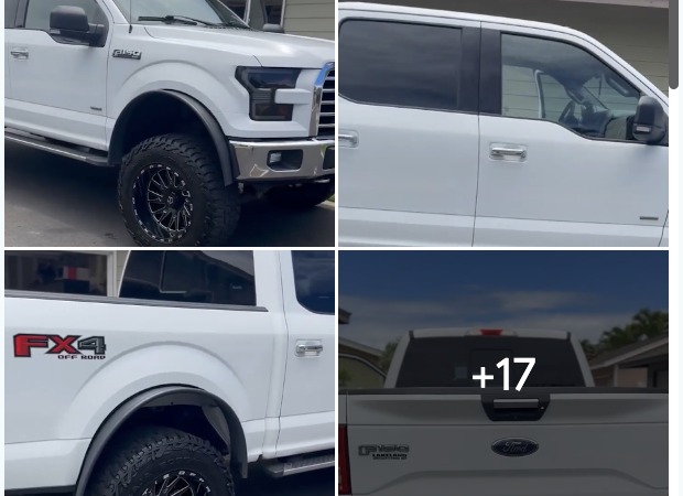 Customer photos attached to Leonardo Saldivar review
